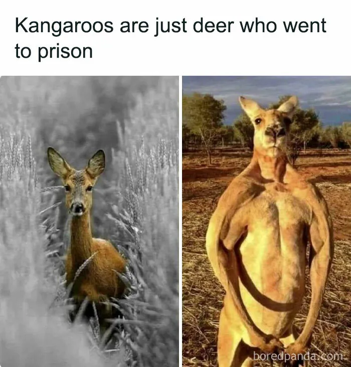 I Can’t Unsee It Now 🥲