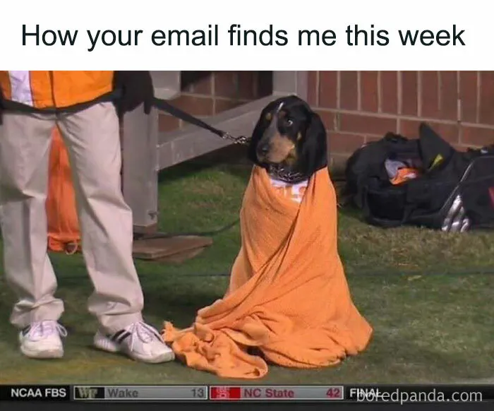 40 Of The Best Wall Street Memes To Lift Your Spirits During An Economic Downturn (New Pics)