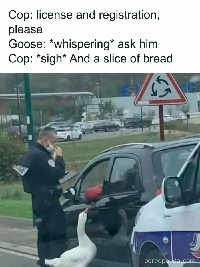30 Funny Jokes That Probably Only Dads Will Be Able To Truly Appreciate (New Pics)