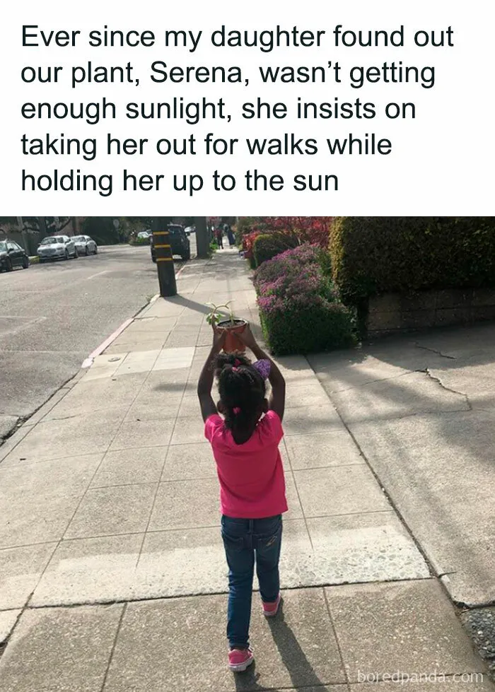 If You Needed A Laugh Today, These 50 Funny Tweets Might Help