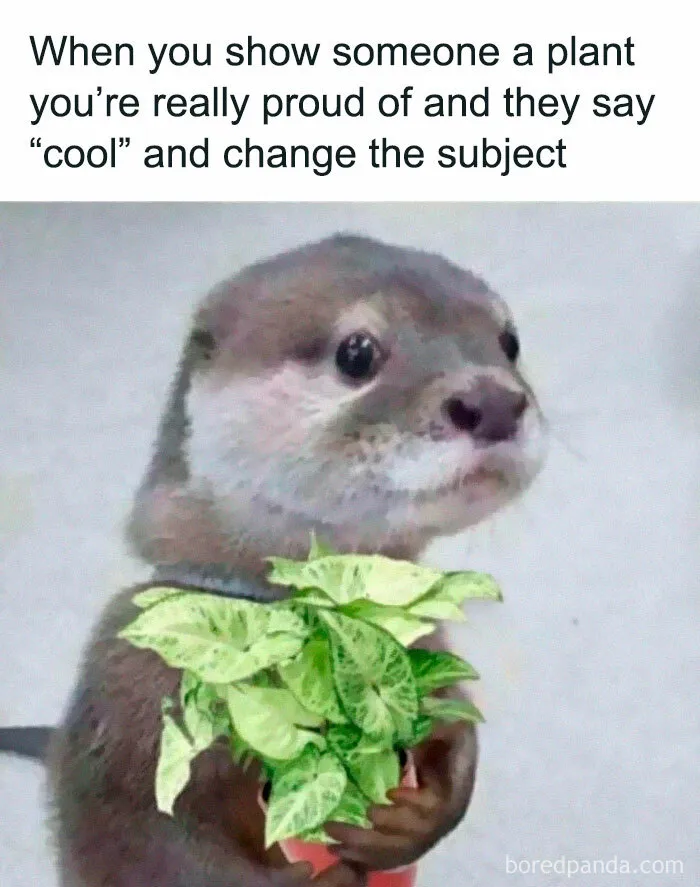 50 Funny Memes For Those Who Have A Green Thumb And A Unique Sense Of Humor