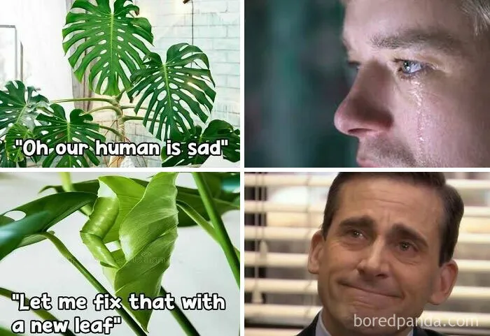 50 Funny Memes For Those Who Have A Green Thumb And A Unique Sense Of Humor