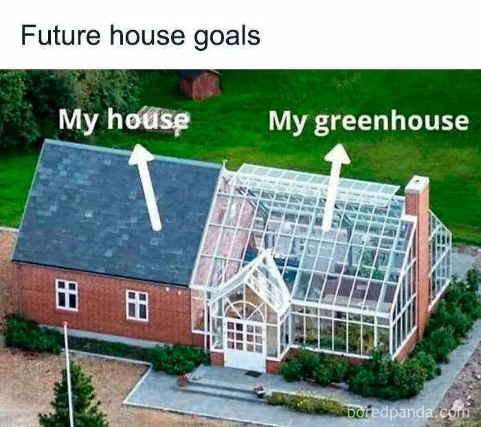 50 Funny Memes For Those Who Have A Green Thumb And A Unique Sense Of Humor