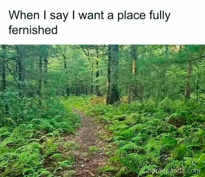 50 Funny Memes For Those Who Have A Green Thumb And A Unique Sense Of Humor