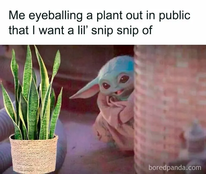 50 Funny Memes For Those Who Have A Green Thumb And A Unique Sense Of Humor
