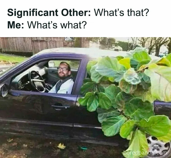 50 Funny Memes For Those Who Have A Green Thumb And A Unique Sense Of Humor