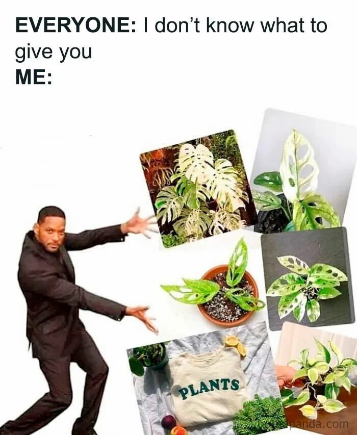 50 Funny Memes For Those Who Have A Green Thumb And A Unique Sense Of Humor