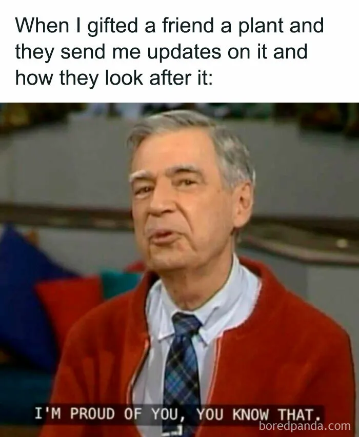 50 Funny Memes For Those Who Have A Green Thumb And A Unique Sense Of Humor