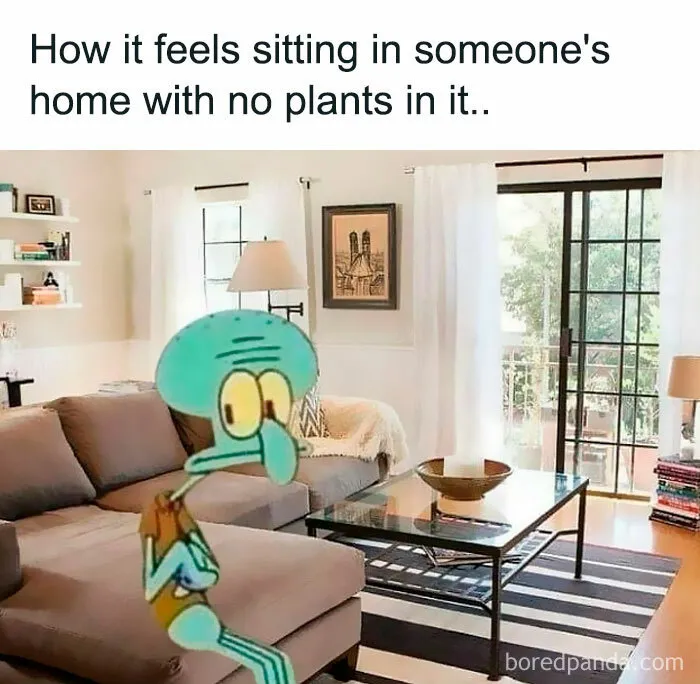 50 Funny Memes For Those Who Have A Green Thumb And A Unique Sense Of Humor