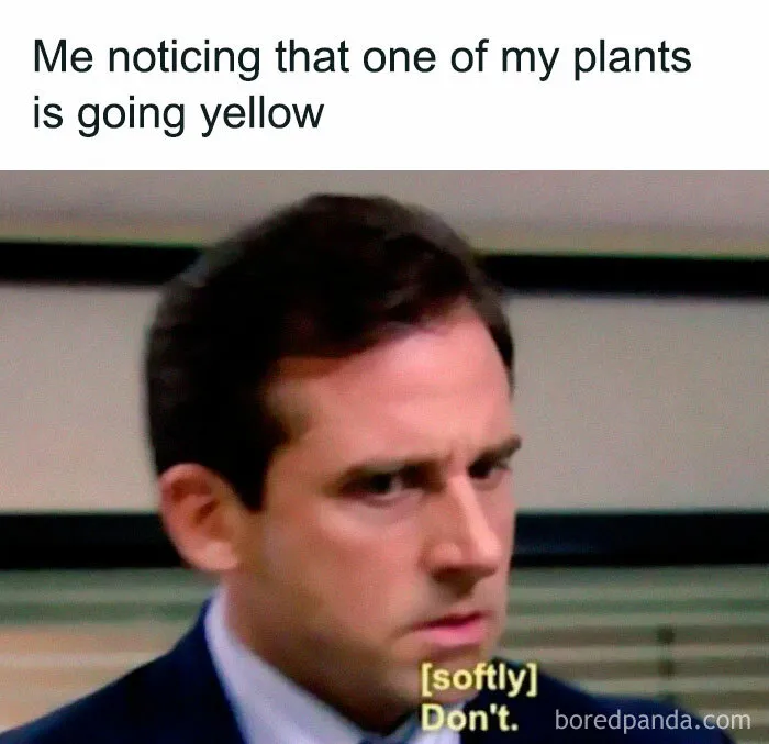 50 Funny Memes For Those Who Have A Green Thumb And A Unique Sense Of Humor