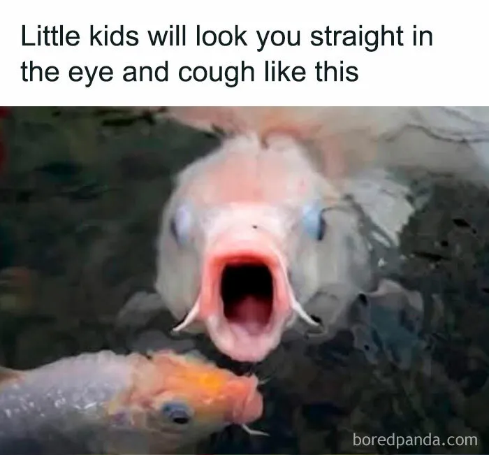 50 Memes To Help You Cope With Reality With Humor