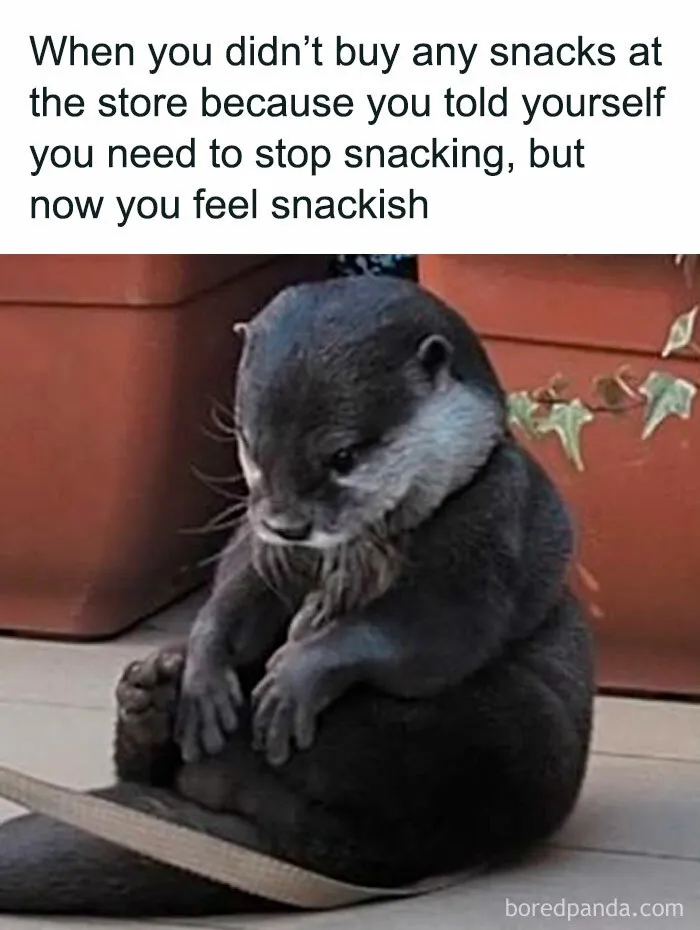 50 Memes To Help You Cope With Reality With Humor