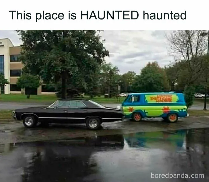 50 Memes To Help You Cope With Reality With Humor