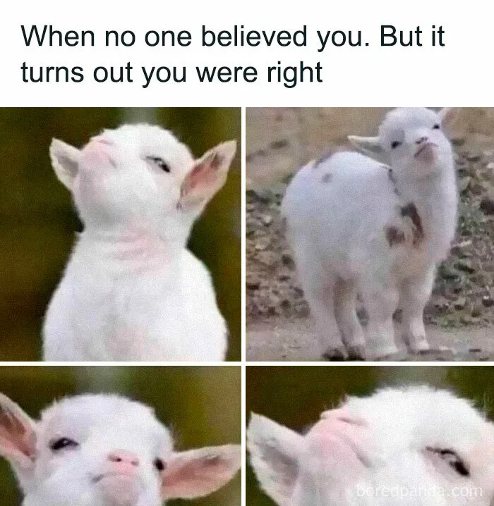 50 Memes To Help You Cope With Reality With Humor