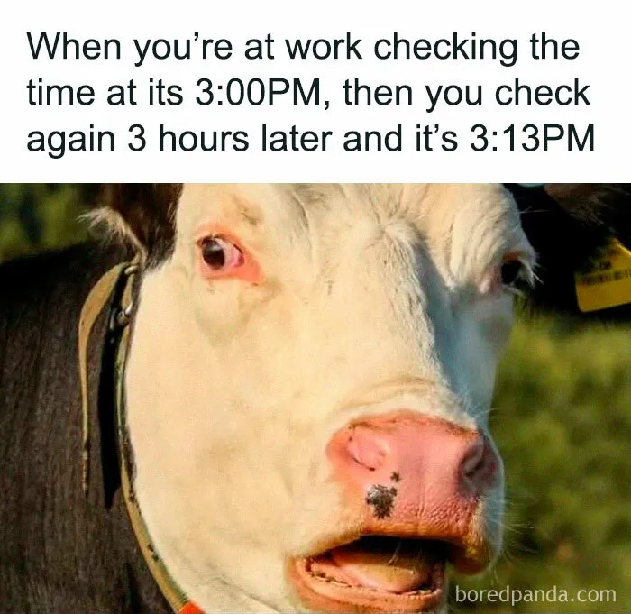 50 Funny Work Memes That May Lead To A Chat With A Concerned HR