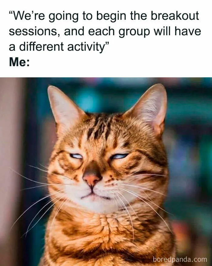 50 Funny Work Memes That May Lead To A Chat With A Concerned HR