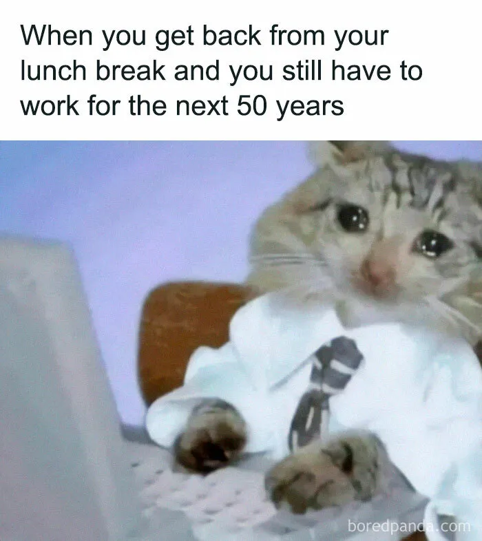 50 Funny Work Memes That May Lead To A Chat With A Concerned HR