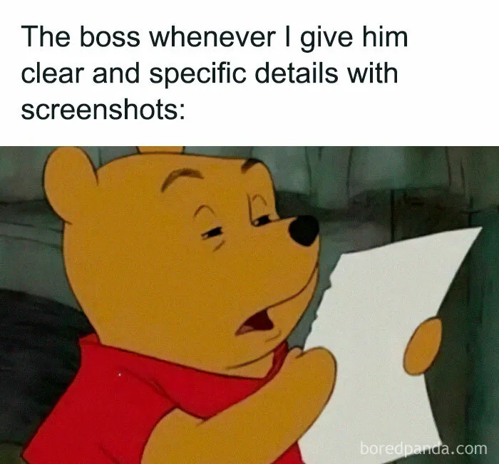 Bear looking unimpressed at a piece of paper, representing funny relatable work memes.