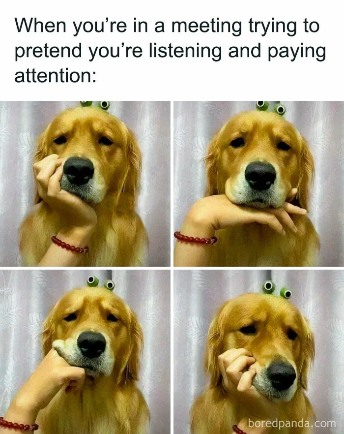 50 Funny Work Memes That May Lead To A Chat With A Concerned HR