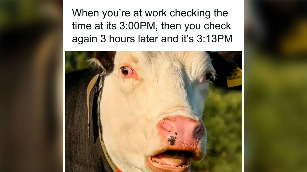 50 Funny Work Memes That May Lead To A Chat With A Concerned HR