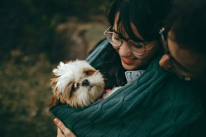Not Liking Pets Doesn’t Mean You’re A Bad Person