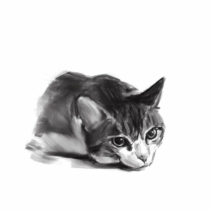 19 Minimalist Sketches By Jinodae That Capture The Essence Of Cats