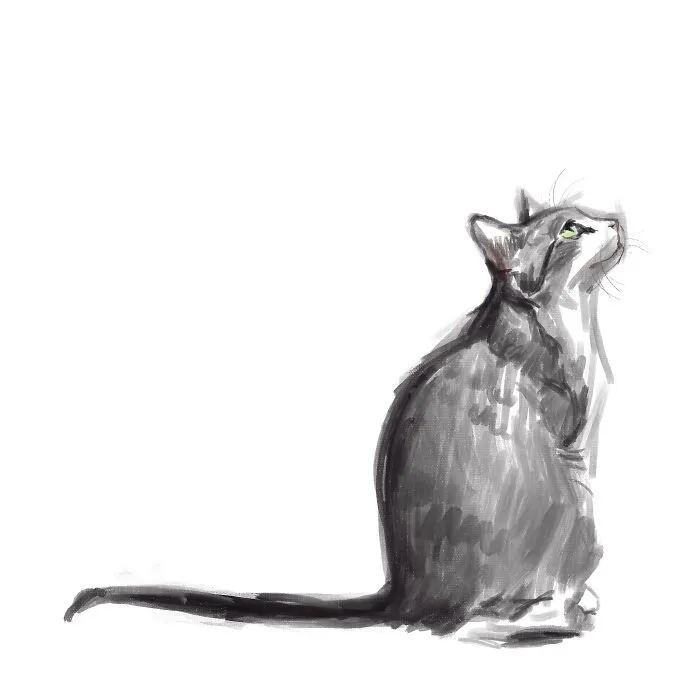 19 Minimalist Sketches By Jinodae That Capture The Essence Of Cats