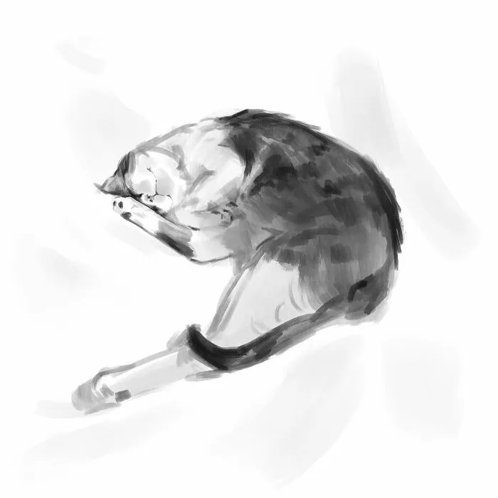 19 Minimalist Sketches By Jinodae That Capture The Essence Of Cats