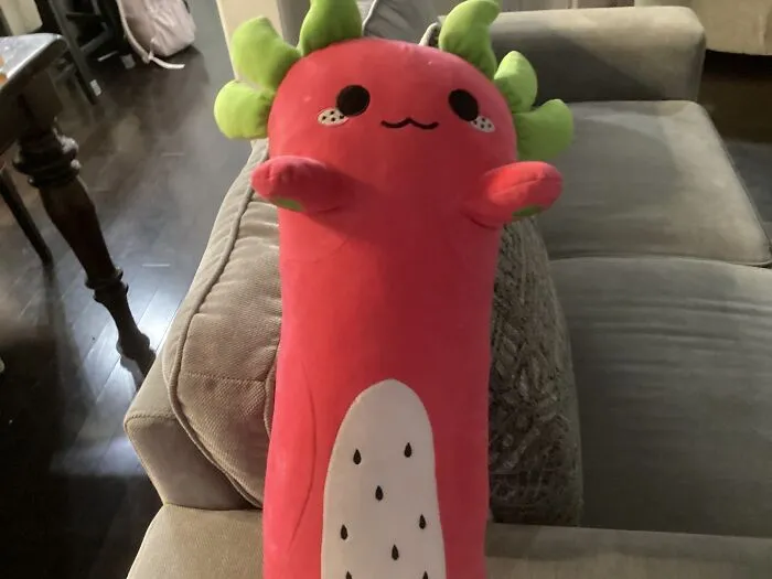 My Dragon Fruit Axo Plushie!