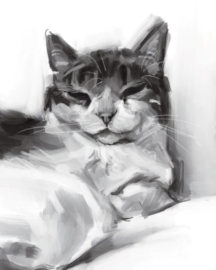 19 Minimalist Sketches By Jinodae That Capture The Essence Of Cats
