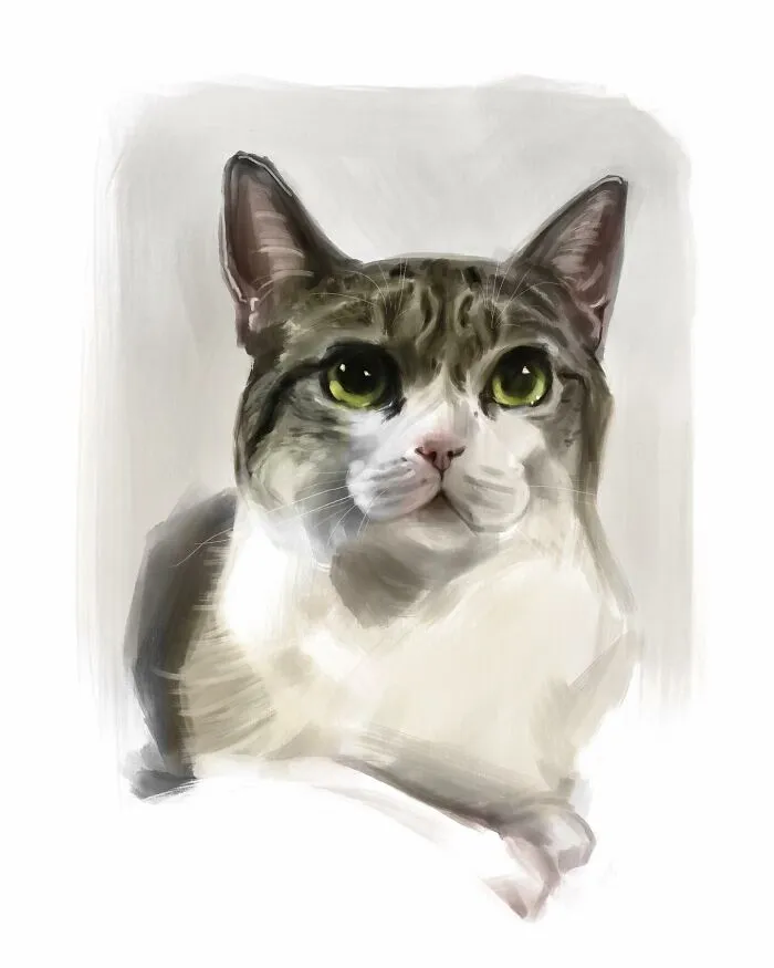 19 Minimalist Sketches By Jinodae That Capture The Essence Of Cats