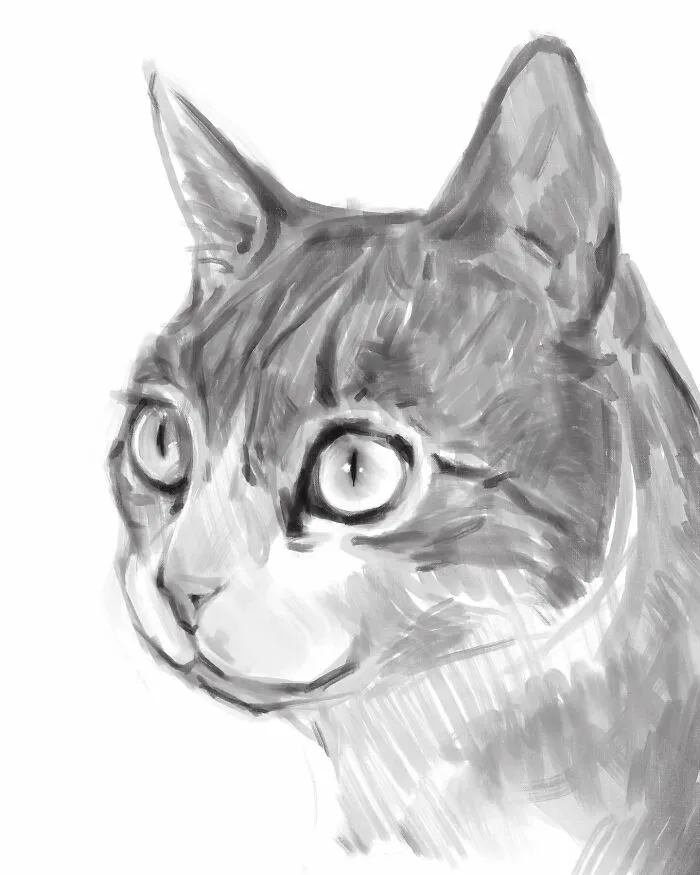 19 Minimalist Sketches By Jinodae That Capture The Essence Of Cats