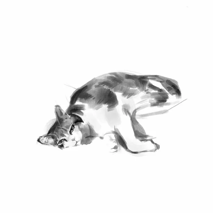 19 Minimalist Sketches By Jinodae That Capture The Essence Of Cats