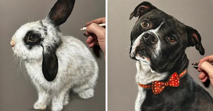 Hyperrealistic Pencil Drawings: 40 Animal Portraits Done By The Talented Hanna Asfour