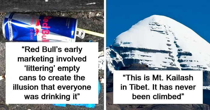 50 Fascinating Posts And Stories For The Curious Among Us