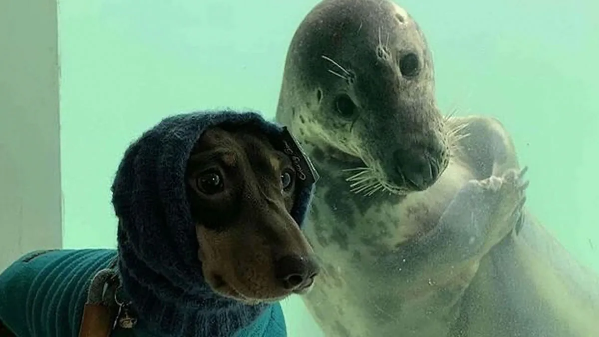 33 Strikingly Weird Images From A Dedicated Page For You To Gawk At