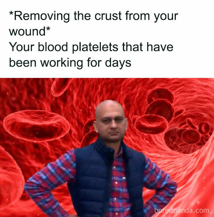 40 Memes That Might Only Make You Laugh If You’re In Medicine—Through Tears, Of Course