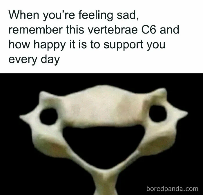 40 Memes That Might Only Make You Laugh If You’re In Medicine—Through Tears, Of Course