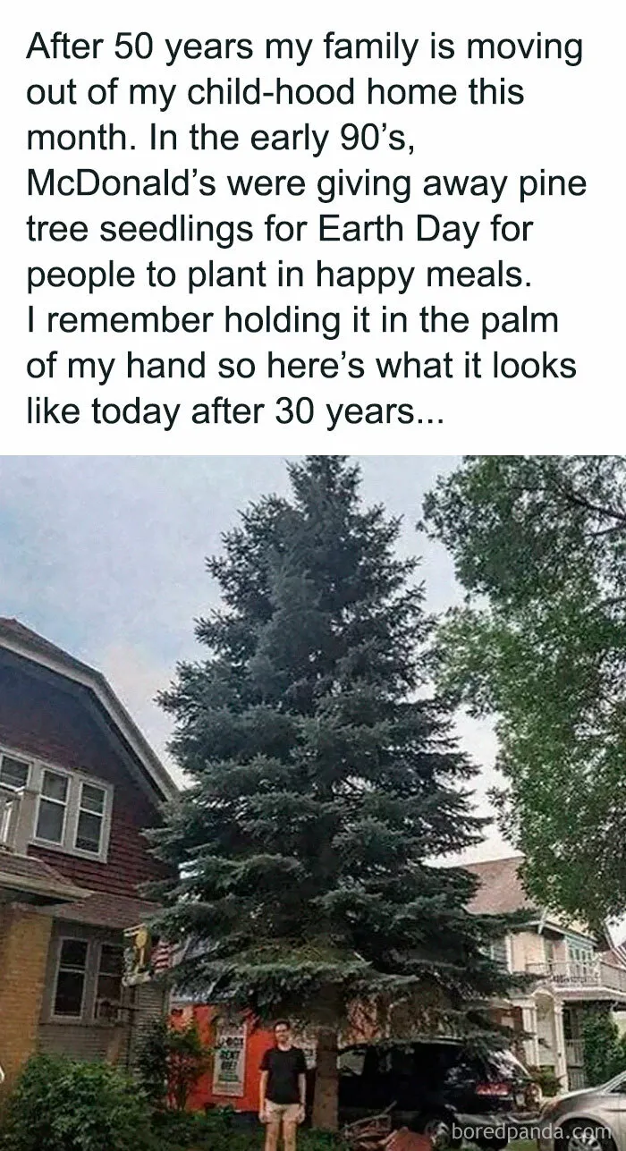 30 Funny Memes That Hit Right In Millennial Trauma (New Pics)