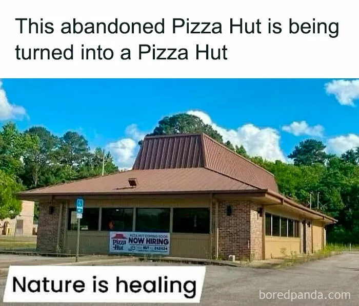 30 Funny Memes That Hit Right In Millennial Trauma (New Pics)