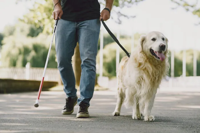 32 Things People Saw Others Do In Public That Left Them Flabbergasted At How Unhinged It Was