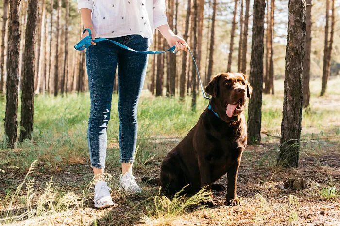 32 Things People Saw Others Do In Public That Left Them Flabbergasted At How Unhinged It Was