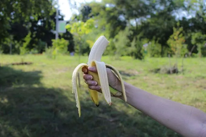 Mano sosteniendo un plátano pelado al aire libre, ilustrando objetos aparentemente inofensivos con peligro oculto.