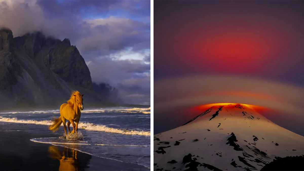 20 Nature Photos That Stole The Spotlight At The 2025 Fine Art Photography Awards