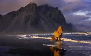20 Nature Photos That Stole The Spotlight At The 2025 Fine Art Photography Awards