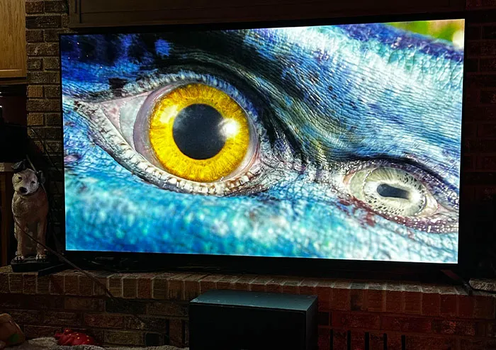 30 Times "The Next Big Thing" Turned Out To Be A Flop