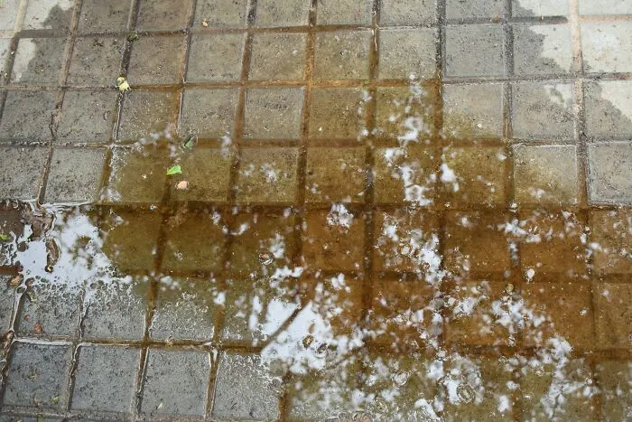 30 Of The Most Disgusting Things A Person Could Ever Do, Witnessed By Some Unfortunate People