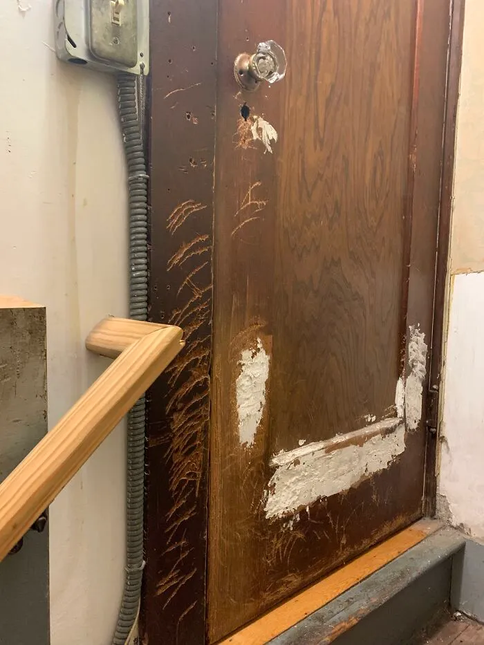 Estos arañazos en el interior de la puerta de mi sótano. También es una casa vieja