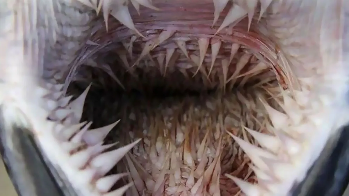 “Oddly Horrifying”: 50 Of The Most Unnerving Images That Might Freak You Out