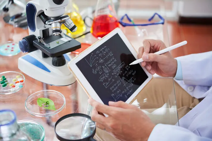 "What Never Came Back After The Pandemic?" (30 Responses)